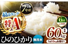 【 定期便 6回 】熊本県産 ひのひかり 無洗米 10kg | お米 米 こめ おこめ 精米 ヒノヒカリ 10キロ 国産 国産米 定期 くまもと 熊本 熊本県 玉名市 玉名