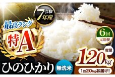 【 定期便 6回 】熊本県産 ひのひかり 無洗米 20kg | お米 米 こめ おこめ 精米 ヒノヒカリ 20キロ 国産 国産米 定期 くまもと 熊本 熊本県 玉名市 玉名