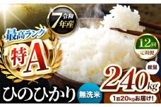 【 定期便 12回 】熊本県産 ひのひかり 無洗米 20kg | お米 米 こめ おこめ 精米 ヒノヒカリ 20キロ 国産 国産米 定期 くまもと 熊本 熊本県 玉名市 玉名