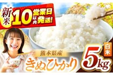 令和7年産 きぬひかり 5kg | お米 米 こめ おこめ 精米 キヌヒカリ 5キロ 国産 国産米 定期 くまもと 熊本 熊本県 玉名市 玉名