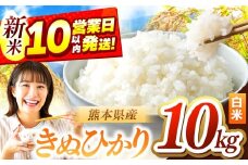 令和7年産 きぬひかり 10kg | お米 米 こめ おこめ 精米 キヌヒカリ 10キロ 国産 国産米 定期 くまもと 熊本 熊本県 玉名市 玉名