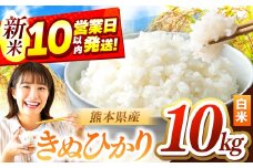 令和7年産 きぬひかり 10kg | お米 米 こめ おこめ 精米 キヌヒカリ 10キロ 国産 国産米 定期 くまもと 熊本 熊本県 玉名市 玉名