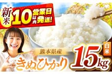 令和7年産 きぬひかり 15kg | お米 米 こめ おこめ 精米 キヌヒカリ 15キロ 国産 国産米 定期 くまもと 熊本 熊本県 玉名市 玉名