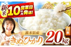 令和7年産 きぬひかり 20kg | お米 米 こめ おこめ 精米 キヌヒカリ 20キロ 国産 国産米 定期 くまもと 熊本 熊本県 玉名市 玉名