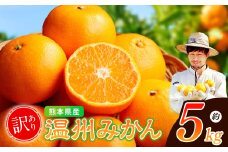 【 訳あり 】 ノナカ柑橘農園 温州みかん 5kg | フルーツ 果物 くだもの 柑橘 ミカン みかん 温州ミカン 訳アリ ご家庭用 熊本県 玉名市