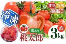 冷凍桃太郎トマト 3kg | トマト 冷凍トマト 訳あり 3キロ 旬 熊本県 玉名市