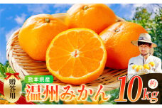 ノナカ柑橘農園 の 温州みかん 10kg | フルーツ 果物 くだもの 柑橘 みかん ミカン 温州ミカン 熊本県 玉名市