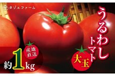 【タゾエファーム】うるわし トマト 大玉 1kg | 野菜 やさい とまと 産地直送 熊本県 玉名市