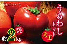 【タゾエファーム】うるわし トマト 大玉 2kg（1kg×2） | 野菜 やさい とまと 産地直送 熊本県 玉名市