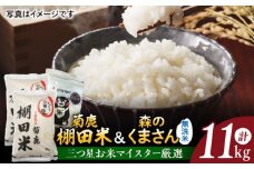 菊鹿 棚田米 10kg (5kg×2) +  森のくまさん  無洗米  1kg 【ミヤタ 株式会社 】お米 白米 精米 森のくまさん 新鮮 熊本 米 こめ [ZAH002]