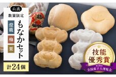 【数量限定】銘菓燈籠もなか・梅もなか・栗もなかのセット 計24個入り【早瀬錦堂】和菓子 最中 お茶菓子 お菓子 銘菓 熊本 菓子 小倉餡 白餡 [ZBE001]