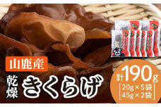乾燥 きくらげ セット 45g×2袋、20g×5袋【株式会社 地の塩社】乾物 キクラゲ 国産 天日干し [ZAN002]