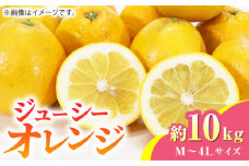 【先行予約】【数量限定】ジューシー オレンジ 約10kg M~4Lサイズ【くまふる】果物 フルーツ 柑橘類 熊本県 特産品 オレンジ ジューシー みかん 柑橘 [ZBG012]