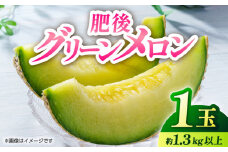【先行予約】【数量限定】肥後グリーン 1玉【くまふる】 [ZBG022]