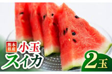 【先行予約】【数量限定】小玉 スイカ  2玉入り【くまふる】 [ZBG023]