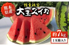 【先行予約】【数量限定】【初夏に実った贈り物】大玉 スイカ 約7kg【なかむら農園】 [ZBH001]
