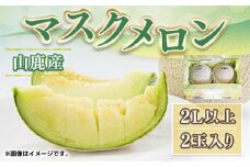 【先行予約】【数量限定】マスク メロン 2L以上 2玉入り【くまふる】 [ZBG024]