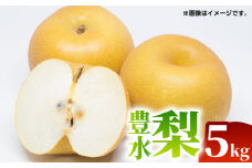 【先行予約】【数量限定】豊水 梨 約5kg（10玉～20玉）【くまふる】 [ZBG016]