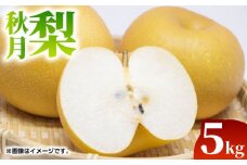 【先行予約】【数量限定】秋月 梨 約5kg（9～18玉）【くまふる】 [ZBG018]
