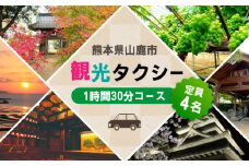 山鹿市 観光タクシー 1時間30分コース【肥後第一交通 株式会社 】 [ZBJ001] 貸切フリー利用券 チケット 旅行 熊本県