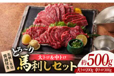 サシが決めての「トロ〜り 馬刺し セット 」 中トロ馬刺し 約50g×6 大トロ馬刺し 約50g×4 計500g 国産 馬刺し 熊本 山鹿市 霜降り サシ 大トロ 中トロ 専用醤油付き 食べ比べ セット 冷凍 小分け おつまみ ヘルシー【株式会社  利他フーズ】[ZBK005]