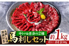 赤身 & 霜降りの「2種食べ比べセット 」 馬刺し 赤身 約50g×10パック 中トロ 約50g×10パック 専用醤油付き 国産 馬刺し赤身 国内肥育 霜降り中トロ 約1キロ たっぷり 熊本 ばさし バサシ 冷凍 パック 小分け 【株式会社  利他フーズ】[ZBK008]