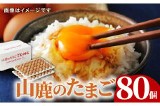 たまご 80個 約5kg【マツヤマエッグファーム】 卵 エッグ タマゴ 熊本 生卵   [ZAW002]