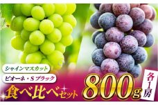【数量限定】食べ比べセット 800g（シャインマスカット & ピオーネ or Sブラック 各一房）【合同会社 社方園】ぶどう マスカット 熊本 葡萄 詰め合わせ [ZBZ001]