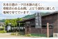 ピオーネ Sブラック 800g 2房 ブドウ 葡萄 国産 熊本県 山鹿 果物 くだもの フルーツ ぶどう ブランド 送料無料