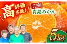 【先行予約】完熟 青島 みかん 約5kg【合同会社 社方園】ミカン 熊本 5キロ 柑橘 熊本 [ZBZ003]