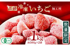 【数量限定】高級 冷凍  いちご 加工用 約1kg（約500g×2袋）【伊藤農園】 冷凍 いちご 冷凍いちご イチゴ 苺 オーガニック [ZBB003]