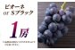 ぶどう シャインマスカット ピオーネ Sブラック クイーンニーナ 果物 フルーツ マスカット 国産 九州 熊本 山鹿市 送料無料