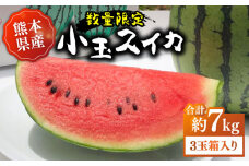 【先行予約】【数量限定】【初夏に実った贈り物】 小玉 スイカ 約7kg【なかむら農園】すいか 果物 西瓜 熊本 フルーツ  [ZBH002]