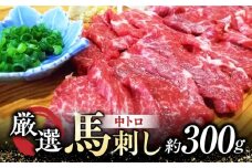 熊本 馬刺し 「なか園」 厳選の馬刺し 約300g 馬刺し 馬肉 桜肉 馬 肉 霜降り 中トロ 便利 小分け 3パック おつまみ 晩酌 冷凍 ジビエ 生食 肉食 刺身 九州 熊本県 特産品 山鹿 送料無料 【スイートサプライなかぞの】[ZBV009]