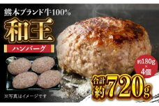 和王 100％ 手ごね ハンバーグ 約720g【マイライフホールディングス 株式会社 】和王100%ハンバーグ 冷凍 熊本 牛肉ハンバーグ  [ZCF001]
