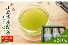 【先行予約】【数量限定】新茶『山鹿市岳間茶』3袋ギフトセット 【岳間の郷ひがし】お茶 新茶 ブレンド  緑茶 熊本 [ZCH003]
