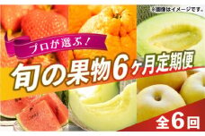 【先行予約】【限定数量】【全6回定期便】 プロが選ぶ！ 旬 の 果物 6ヶ月 定期便【くまふる】フルーツ定期便 果物 くだもの 果物定期便 フルーツ定期 果物定期便 [ZBG004]