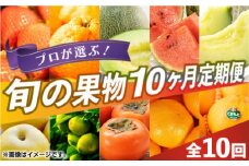 【先行予約】【限定数量】【全10回定期便】 プロが選ぶ！ 旬 の 果物 10ヶ月 定期便【くまふる】 フルーツ定期便 果物 くだもの 果物定期便 フルーツ定期 果物定期便  [ZBG005]