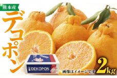 【先行予約】デコポン 約2kg【かきやま果実】フルーツ 果物 でこぽん 熊本県 柑橘 [ZCJ001]