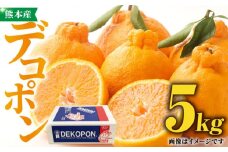 【先行予約】 デコポン 約 5kg 化粧箱入り 【かきやま果実】フルーツ 果物 でこぽん 熊本県 柑橘  [ZCJ003]