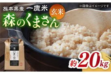 【先行予約】【天日塩を使用】一鹿米 森のくまさん 玄米 20kg【株式会社 夢アグリ】おこめ 米 お米 ごはん げんまい  [ZCL002]