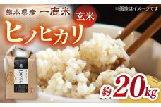 【先行予約】【天日塩を使用】一鹿米 ヒノヒカリ 玄米 20kg【株式会社 夢アグリ】おこめ 米 お米 ごはん げんまい  [ZCL004]