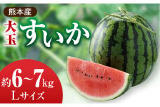【先行予約】【数量限定】大玉 すいか Lサイズ【株式会社 前田ファーム】 [ZCM001] すいか ギフト 旬 デザート お取り寄せ