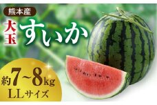 【先行予約】【数量限定】大玉 すいか LLサイズ スイカ 西瓜 熊本 果物 くだもの フルーツ 人気 季節物 新鮮 産地直送 甘い 糖度 おすすめ 地域 特産 期間限定 評判 種類 大きい サイズ 熊本県 山鹿市【株式会社 前田ファーム】[ZCM002]