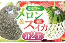 【数量限定】肥後グリーン メロン 1玉＆小玉 すいか 1玉 スイカ フルーツ セット くだもの ブランド 鮮度 高級 種類 甘さ ジューシー 肥後 グリーン 青肉 産地直送 糖度 おすすめ 高評価 リピーター レビュー 季節物 新鮮 熊本 山鹿市【合同会社 福福堂】[ZCN004]