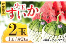 【数量限定】小玉 すいか 2玉 スイカ 西瓜 くだもの 人気 季節物 新鮮 産地直送 糖度 おすすめ フレッシュ ジューシー 果肉 高級感 高品質 特産 評判 高評価 贈答用 リピーター 種類 山鹿市 くまもと 熊本県産 【合同会社 福福堂】[ZCN005]