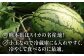 小玉 すいか 2玉 スイカ 西瓜 くだもの 人気 季節物 新鮮 産地直送 糖度 高品質 特産 種類 山鹿市 くまもと 熊本県産