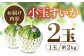 小玉 すいか 2玉 スイカ 西瓜 くだもの 人気 季節物 新鮮 産地直送 糖度 高品質 特産 種類 山鹿市 くまもと 熊本県産