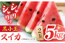 【先行予約】【数量限定】黒小玉 スイカ (ひとりじめ BonBon) 2玉 計約5kg【岡山農園】すいか 西瓜 果物 フルーツ 熊本 小玉スイカ [ZBY001]