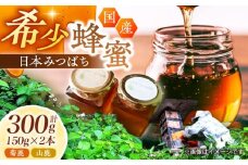 日本みつばち菊鹿・山鹿 計2本セット 【山麓はっち】 [ZBM005] 蜂蜜 はちみつ ハチミツ 熊本県 特産品 常温 保存 備蓄 防災食 非常食